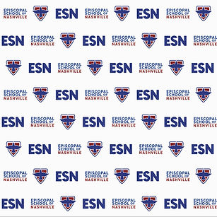 esn step and repeat.jpeg