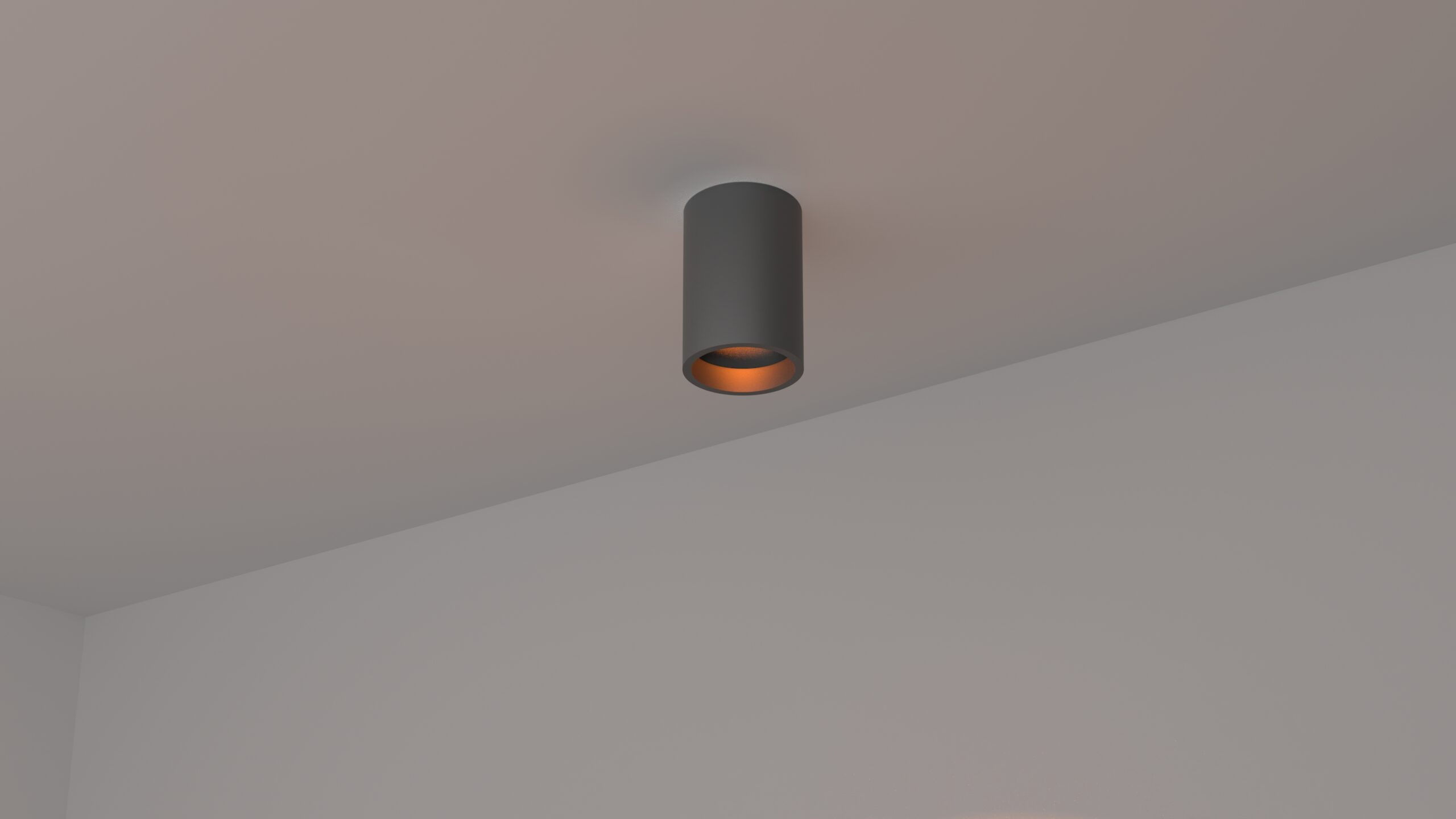 צמוד תקרה Slim