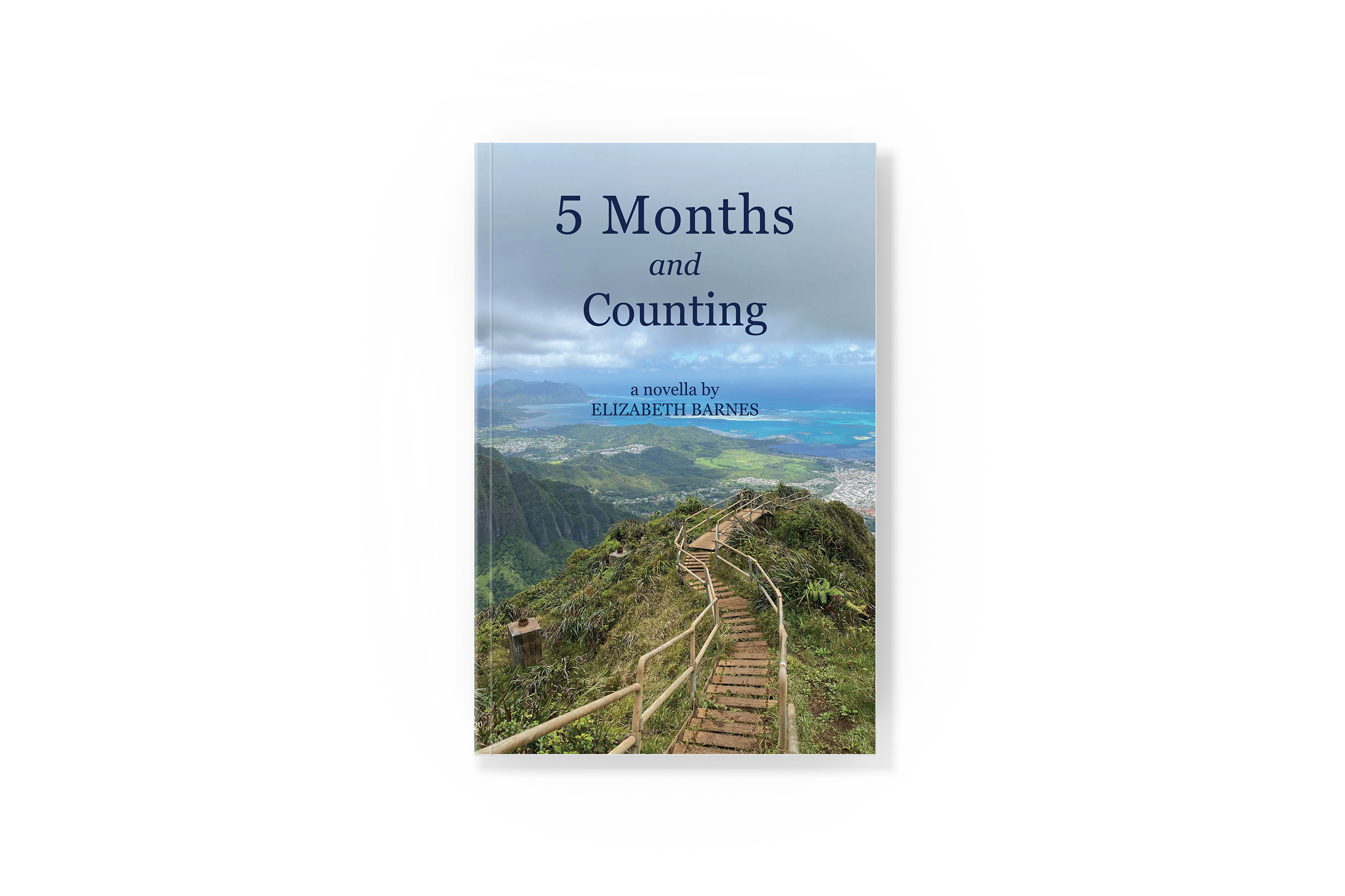 5 Months and Counting Cover