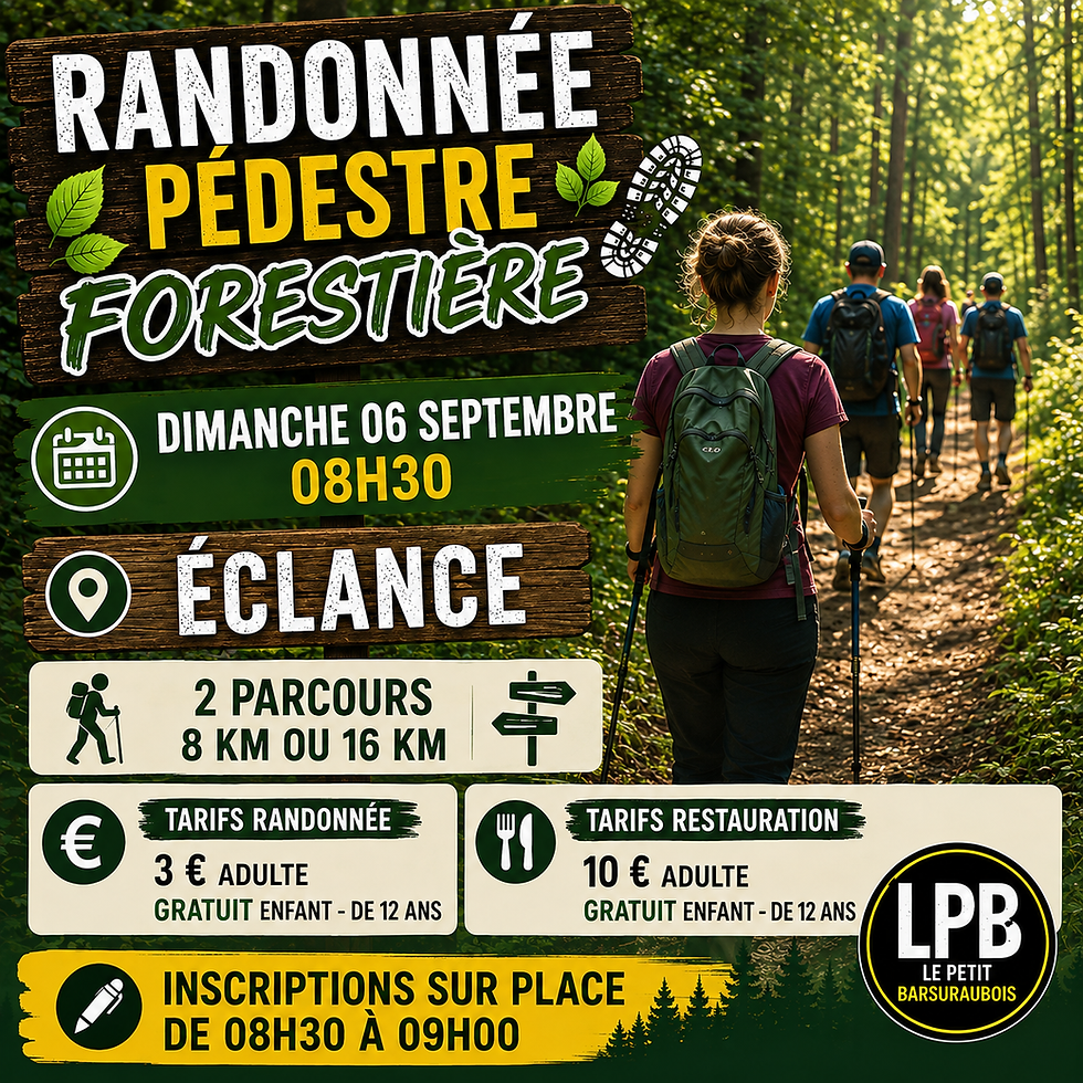 Randonnée Pédestre Forestière