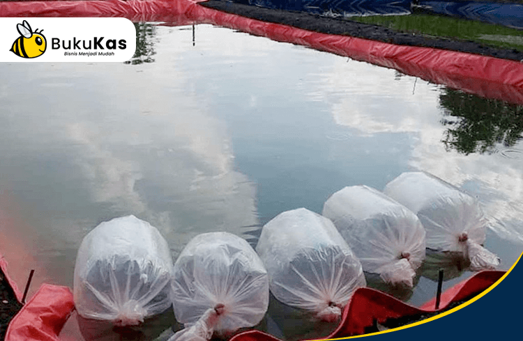 BukuKas - Panen Ikan Gurame