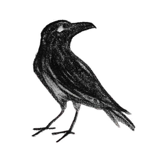 IMG_2009.png