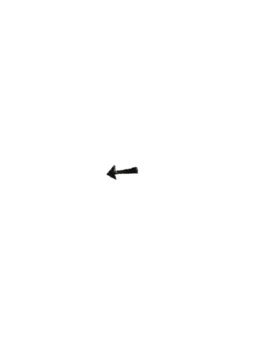 Untitled_Artwork 13.png