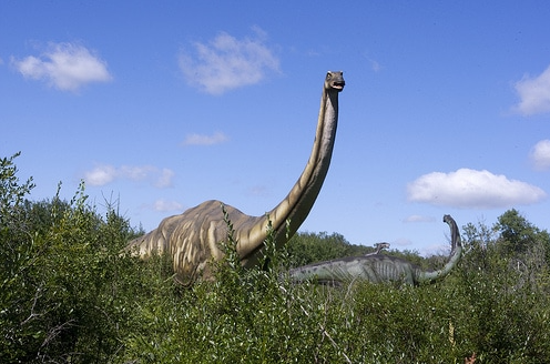 Apatosaurus