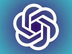 OpenAI Chatgpt India's Professional Users and Everyday Users
