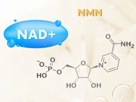 NAD : pilule de jouvence ou comment remonter le temps ?