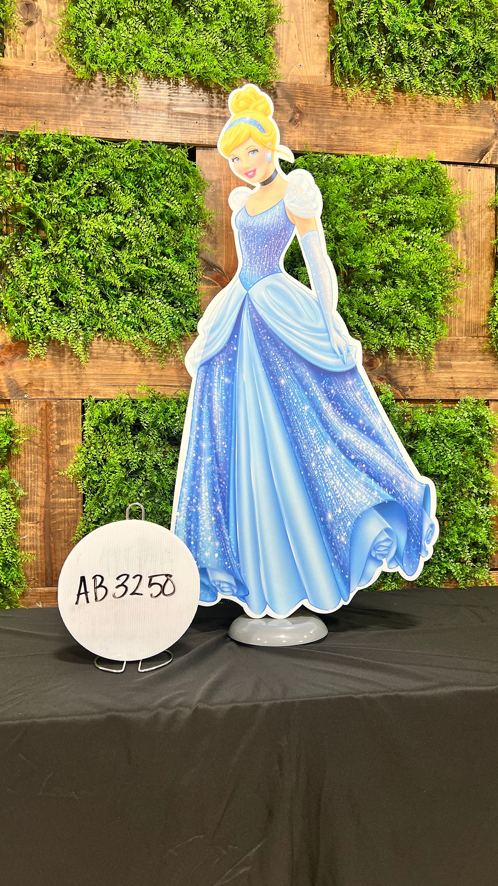 Cinderella Princess Party Prop Cut Out