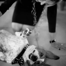 belly rubs for the "best dog" after wedding ceremony
