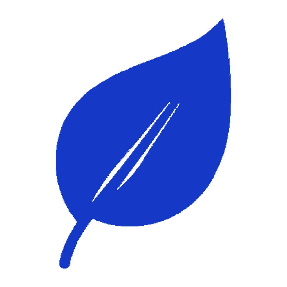 leaf 5.png