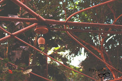 CASA DAS ROSAS - AV PAULISTA