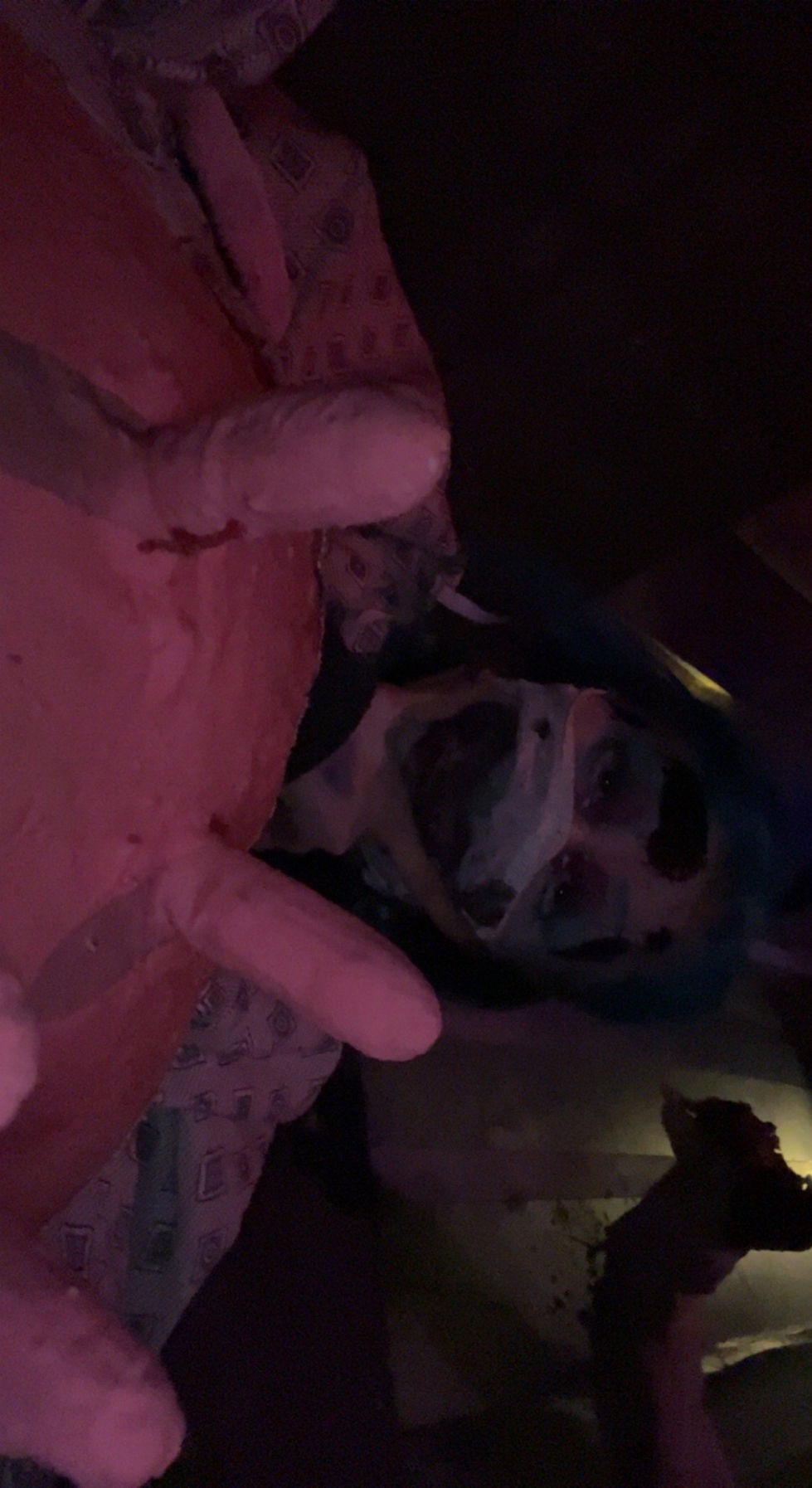 Gateway's Haunted Playhouse. The Gateway Playhouse. 2022. Cow experiment person costume