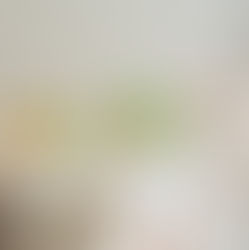 flowers. installation at Face Stockholm