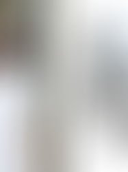 RECENT DEVELOPMENTS: 041717