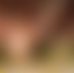 Art Direction: Ettika Digital Ad Campaigns