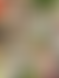 06242023 wedding highlights: sophia + sean