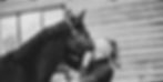 EF2FAE09-FA22-4B35-9772-9097246E81D3_1_201_a.jpeg