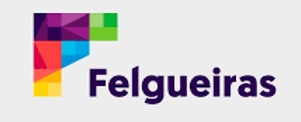 Município de felgueiras.png