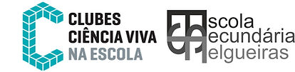 ESF CCV.jpg