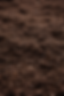 multaa.png