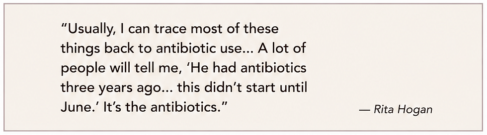 Beige quote card with black text about antibiotic use causing illness, attributed to Rita Hogan