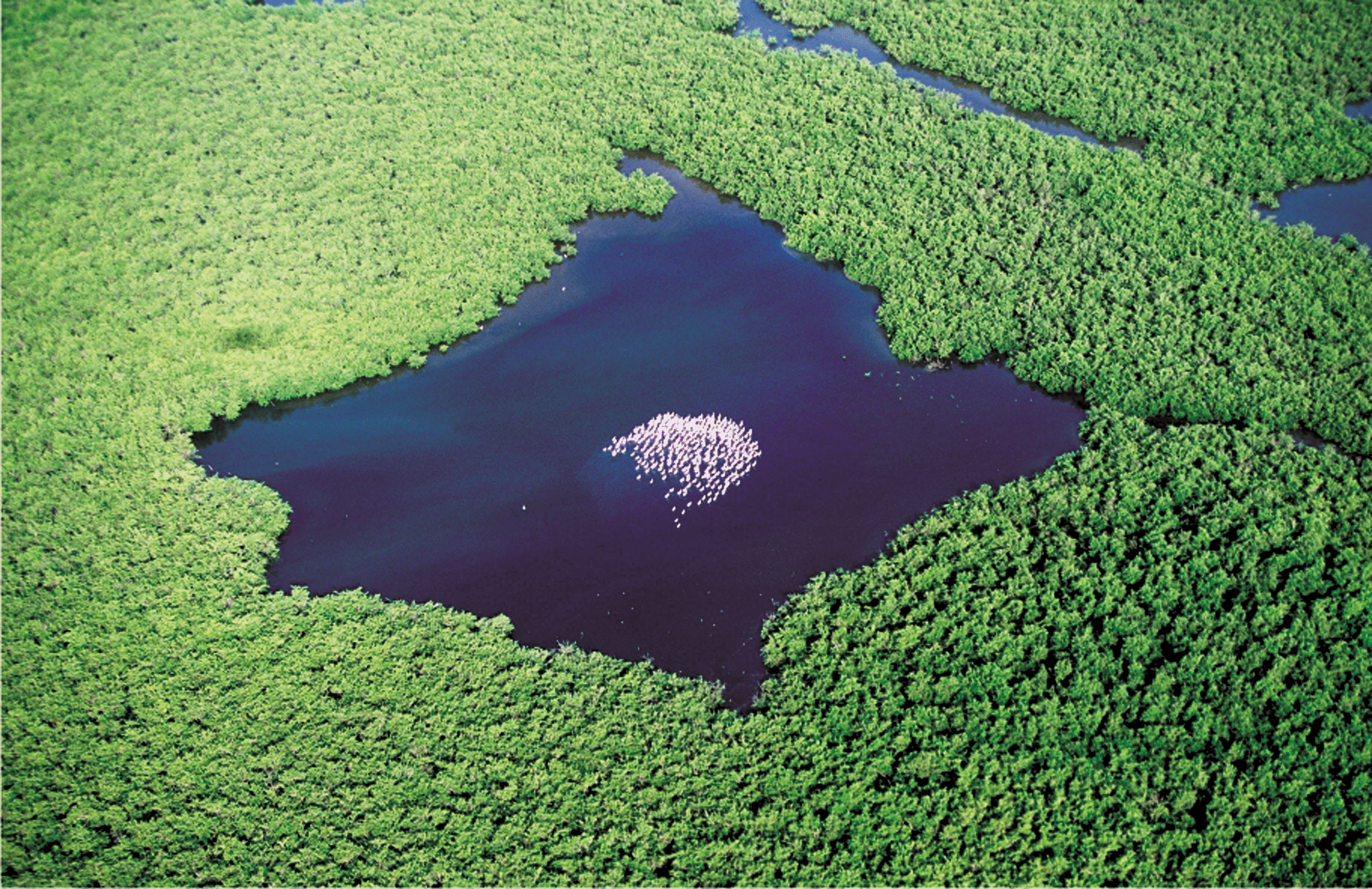 Le Delta du Saloum au Sénégal.gif