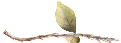 AdobeStock_670490054-13_edited_edited.pn