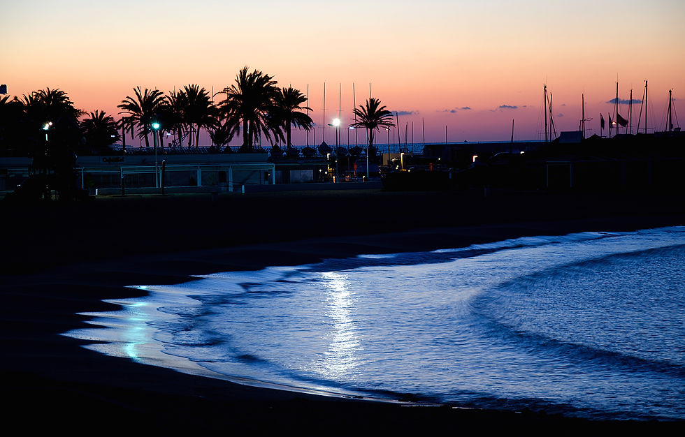 Marbella Paseo Sunrise IMG-203604-039012