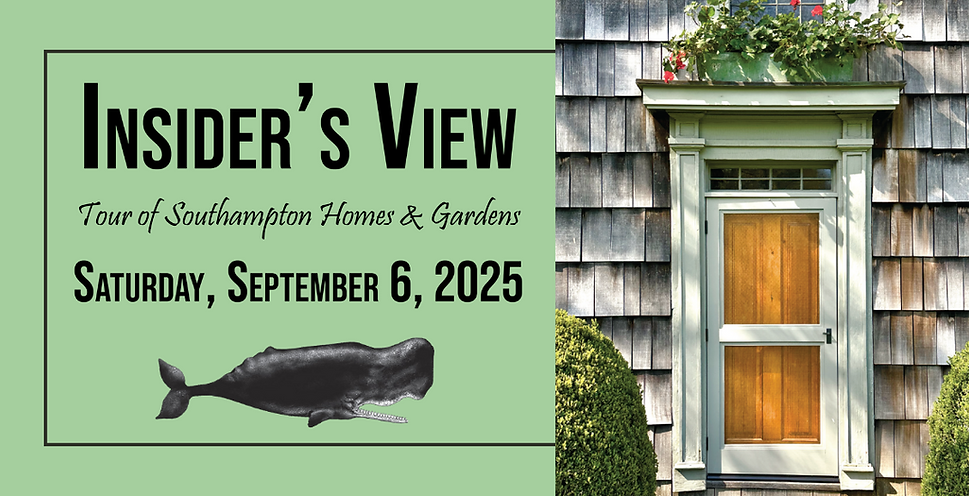 Insider's View Website Banner 2025.png