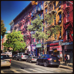 Brooklyn Colors