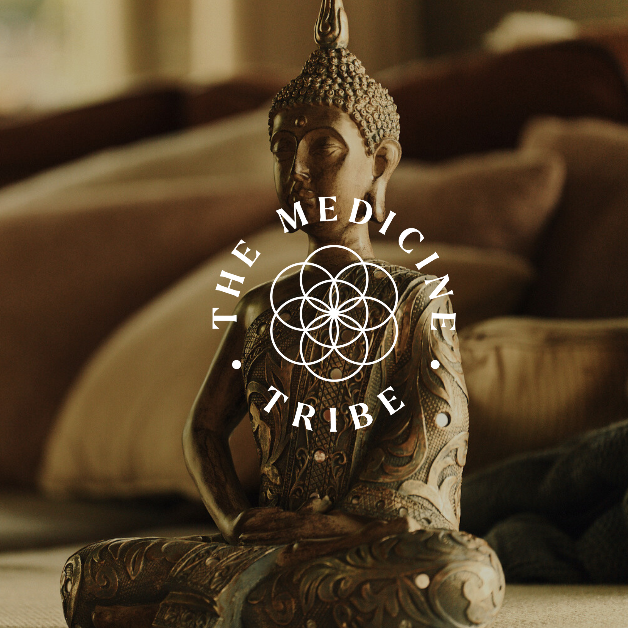 Online Meditation Circle 