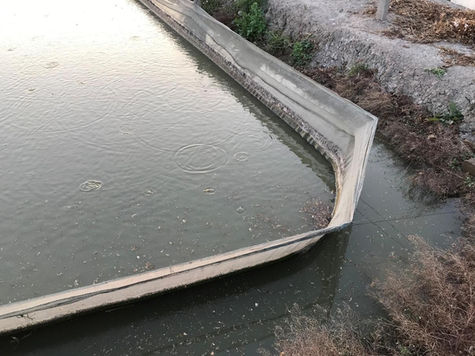 Outer lining at a pond loach farm in Lianyungang.jpeg