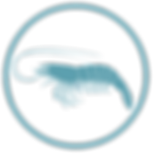 Untitled design (2).png