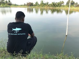 Updates to Our Impact Estimation Process