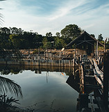 fish farm pond in Thailand.jpg