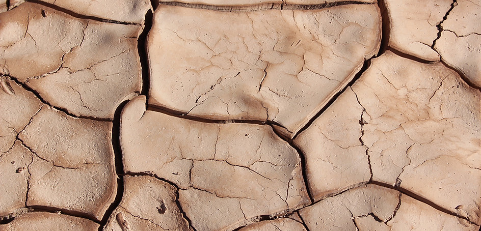 Cracked Earth