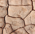 Cracked Earth