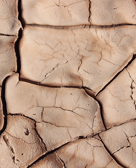 Cracked Earth