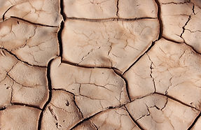 Terre craquelée