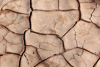 Cracked Earth