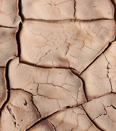 Cracked Earth