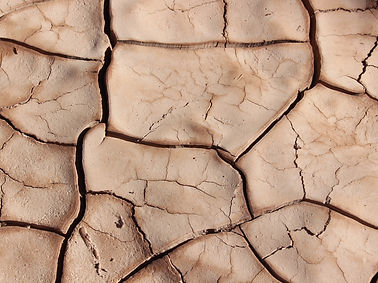 Cracked Earth