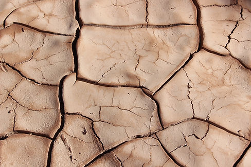 Cracked Earth