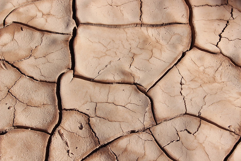 Cracked โลก