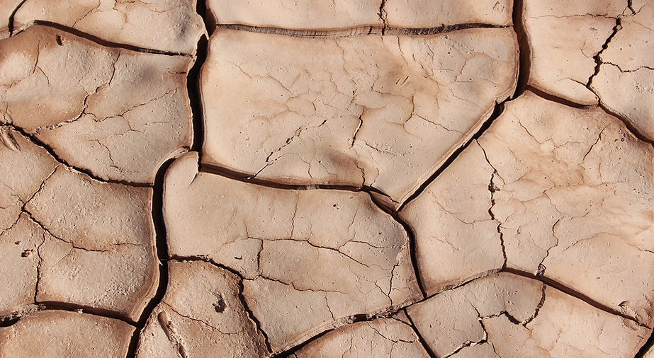 Cracked Earth
