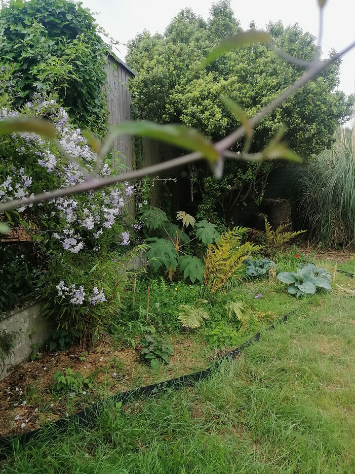 IMG_20250604_113154.jpeg