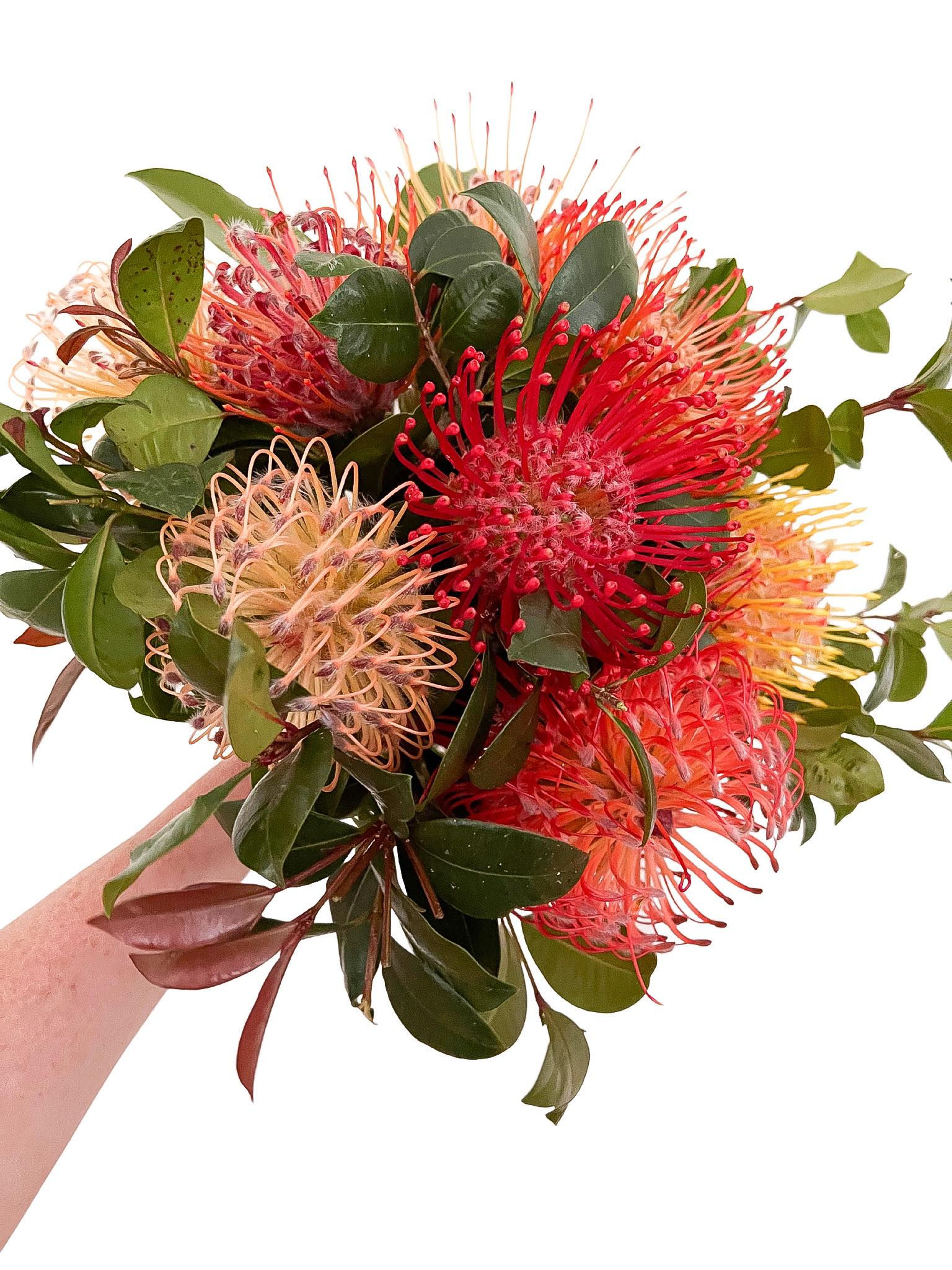 The Simple Bunch: Leucapsernums