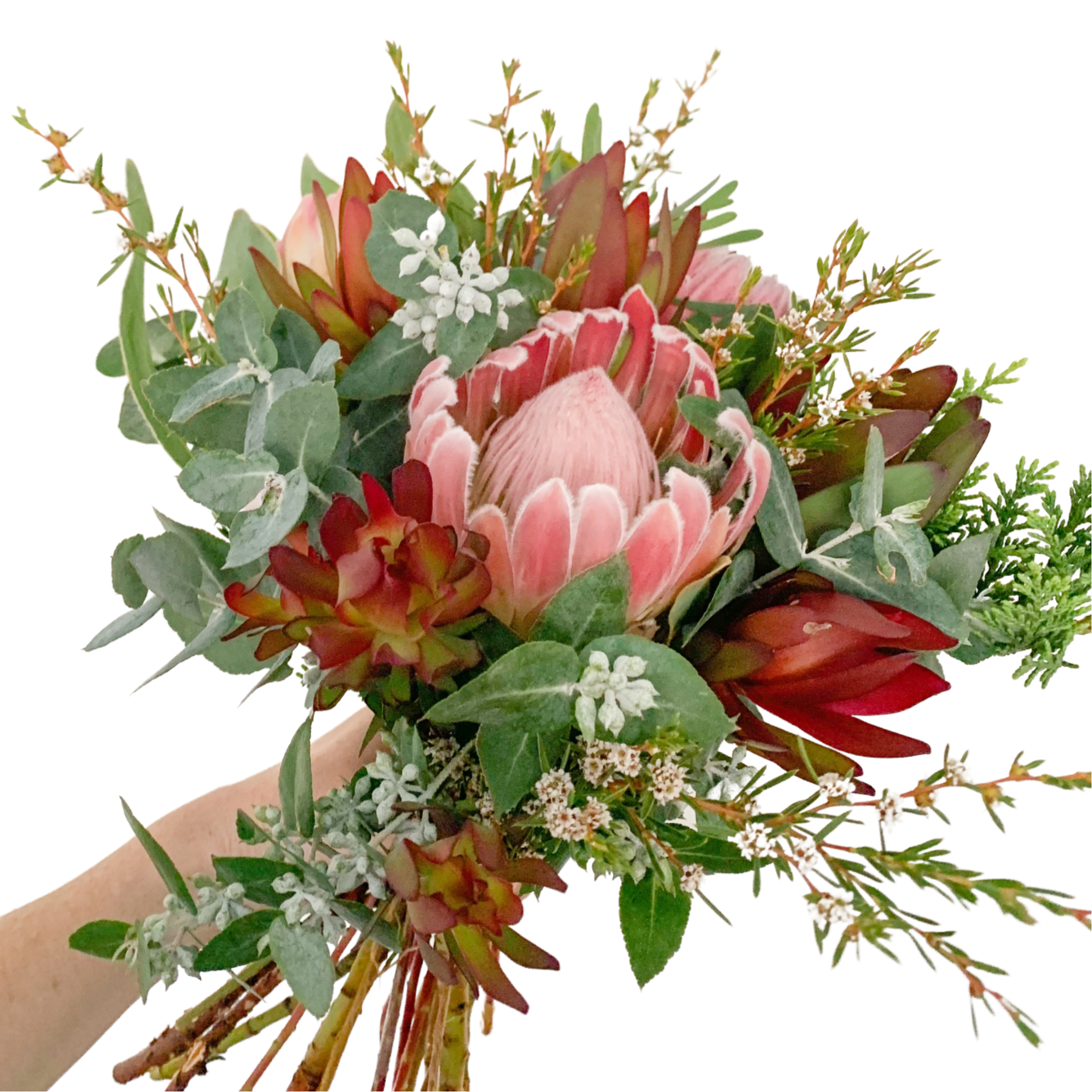 Mixed Proteas