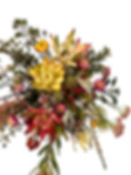 Winter Paper Daisy Mixed Foliage