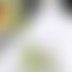 Bringing Nature Indoors