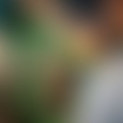 Inclusive Art Workshops in Perth: Unlocking Creativity for All Abilities